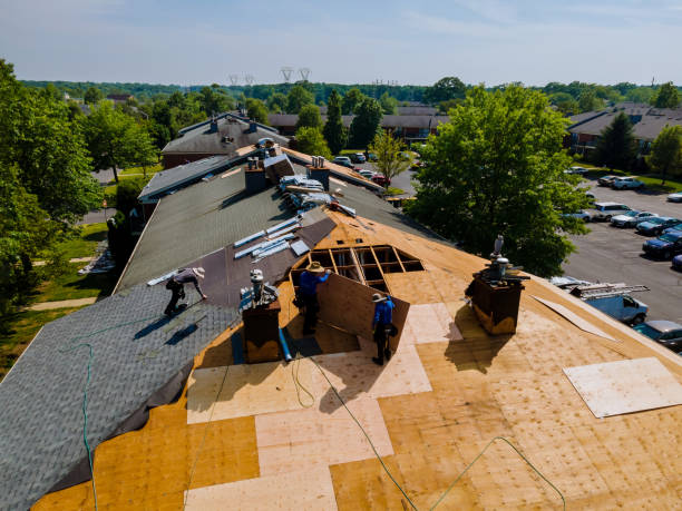 Trusted Roof Replacement service in Modesto, CA - Brentwood Metal Roofing